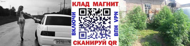 Наркошоп купить Гашиш Cocaine APVP Амфетамин МЕФ Бошки Шишки Кизилюрт