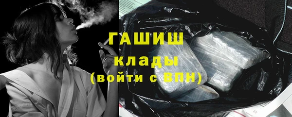 спиды Горняк
