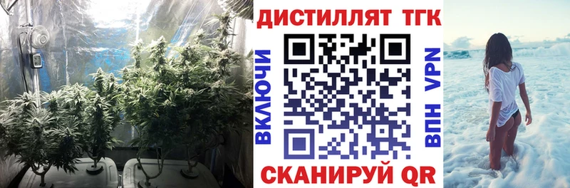 Купить где  Кизилюрт  ТГК вейп с тгк 