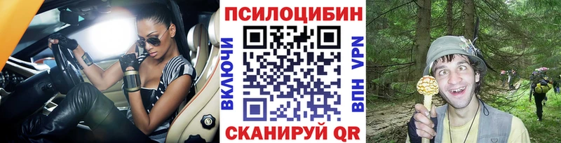 Псилоцибиновые грибы мухоморы  Купить закладки  Кизилюрт 